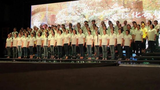 C:\Users\Lenovo\Desktop\杏色
大合唱\杏色
大合唱\图片艺媒.jpg